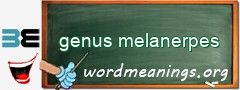 WordMeaning blackboard for genus melanerpes